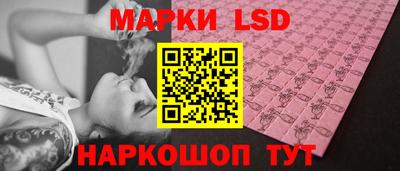 шишки Будённовск