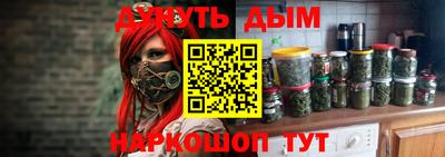 шишки Будённовск
