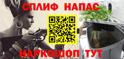 шишки Будённовск