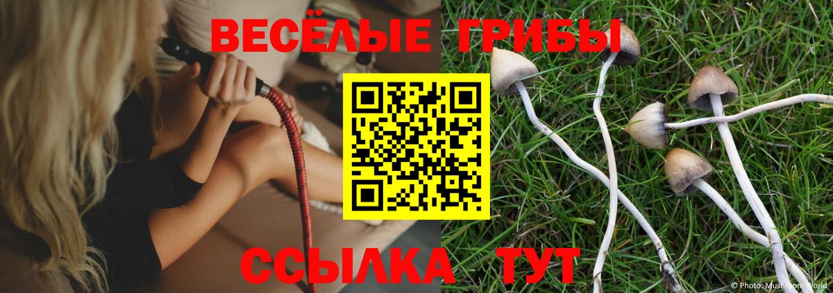 Нефтекамск  Псилоцибиновые грибы Psilocybe  Вход с VPN 