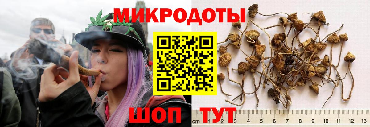 Галлюциногенные грибы мицелий Нефтекамск